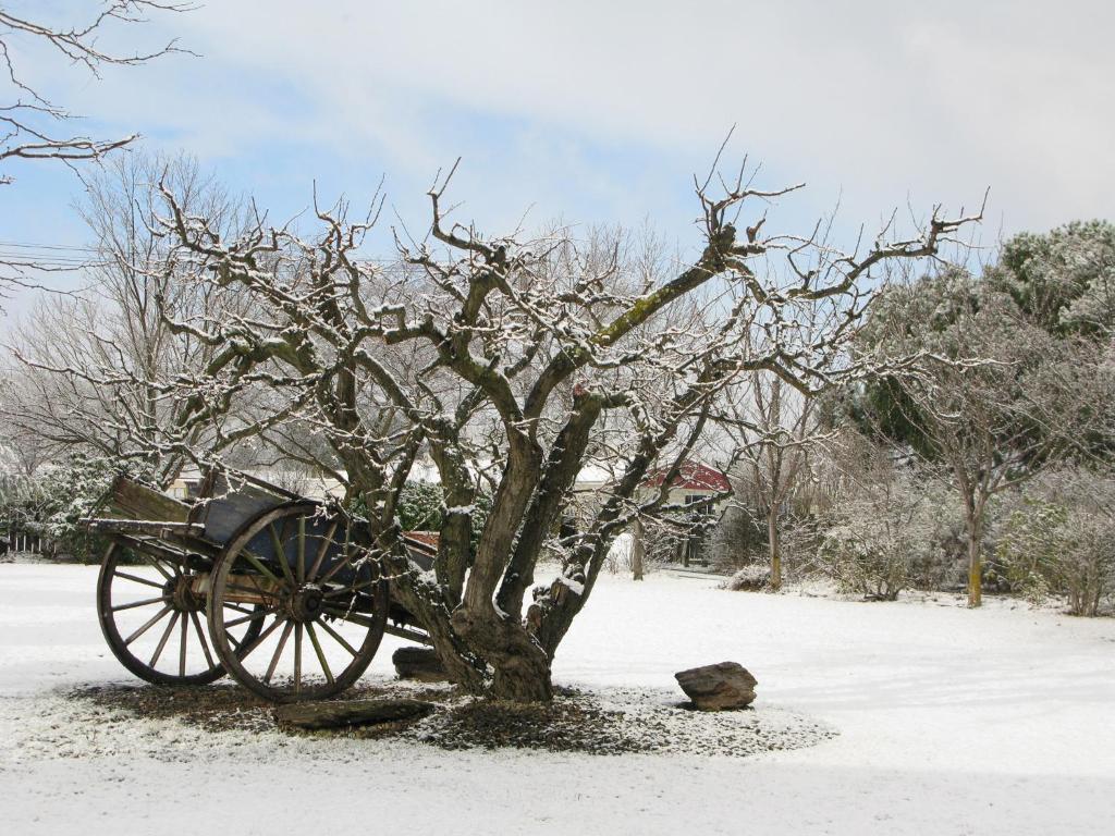 Hartley Homestead Boutique Bed & Breakfast Clyde Esterno foto