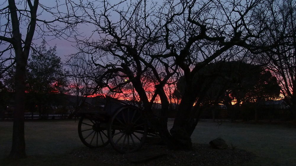 Hartley Homestead Boutique Bed & Breakfast Clyde Esterno foto